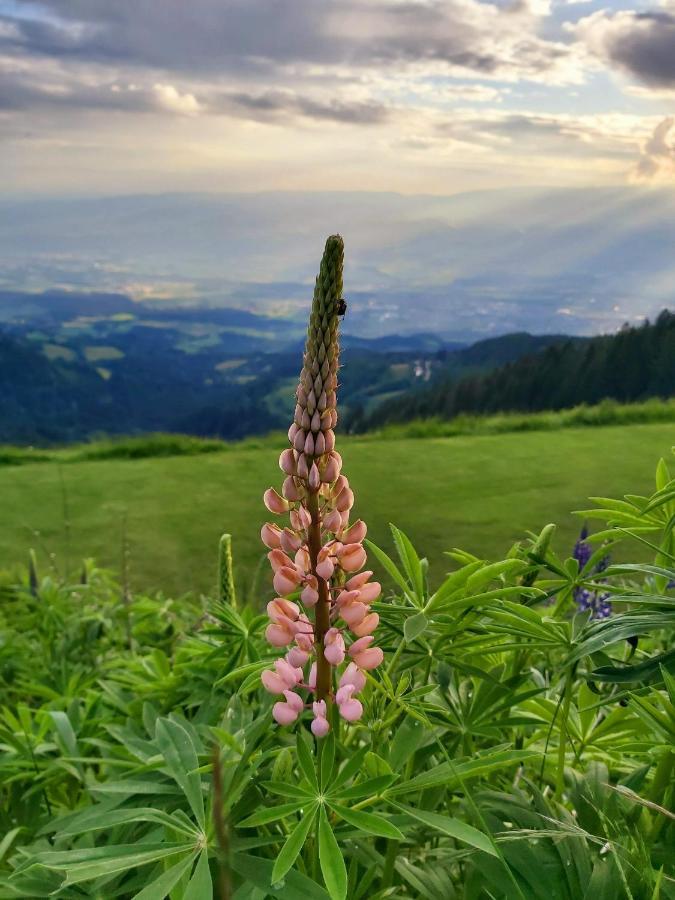 Korlape Apartman 4.2 Wolfsberg Luaran gambar