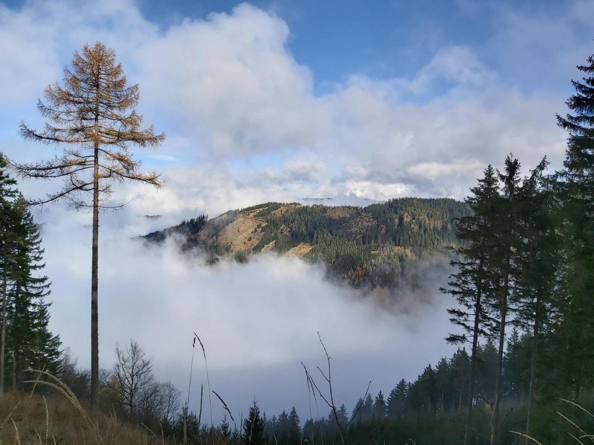 Korlape Apartman 4.2 Wolfsberg Luaran gambar